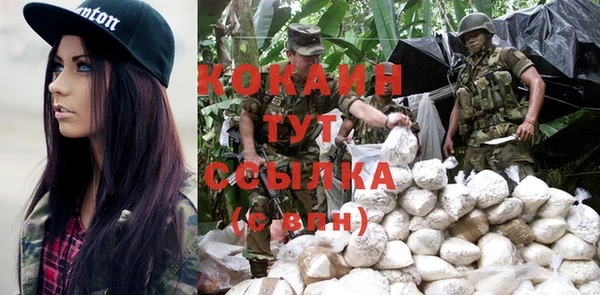 бошки Белокуриха