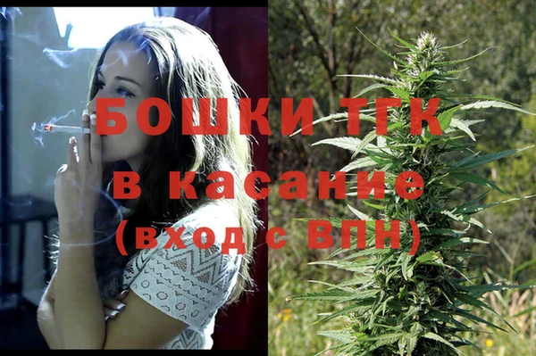 бошки Белокуриха