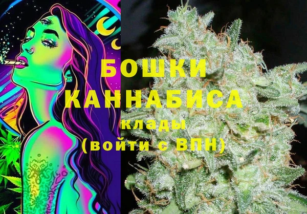 бошки Белокуриха