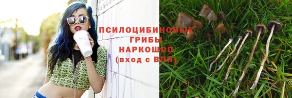 марки lsd Белоозёрский