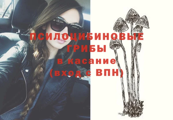 прущий лед Дмитров