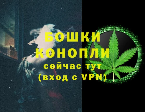 гидра Гусев